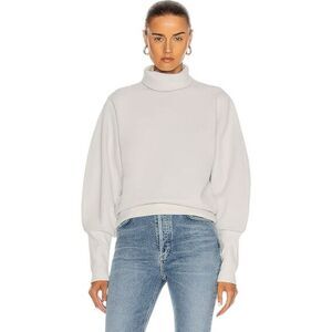 NWT AGOLDE Turtleneck Sweatshirt Size‎ XS Ribbed Trim Pullover Minimalist Chic